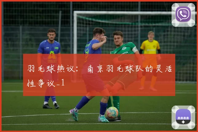 羽毛球热议：南京羽毛球队的灵活性争议_1