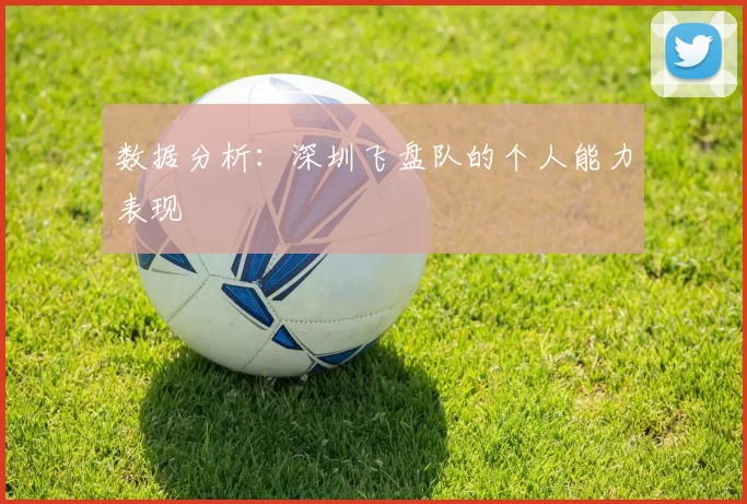 数据分析：深圳飞盘队的个人能力表现