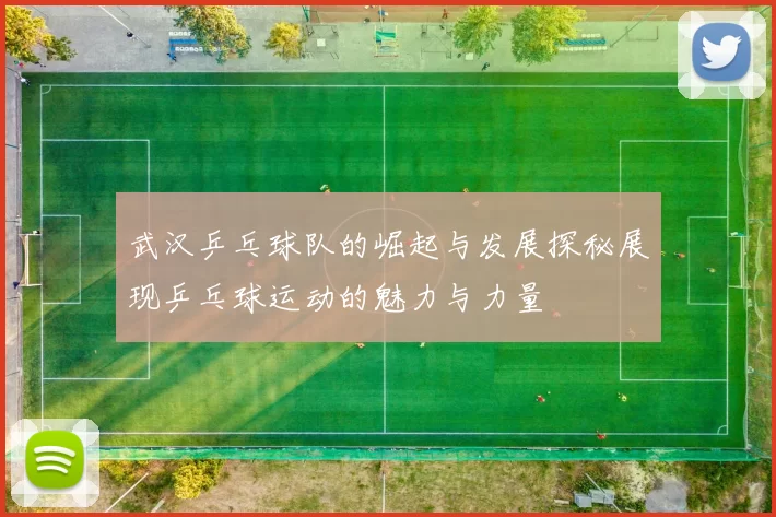 武汉乒乓球队的崛起与发展探秘展现乒乓球运动的魅力与力量