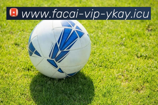 开云体育平台生态图